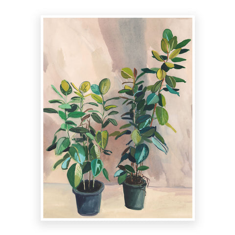 Two Ficus – 30x40cm Print