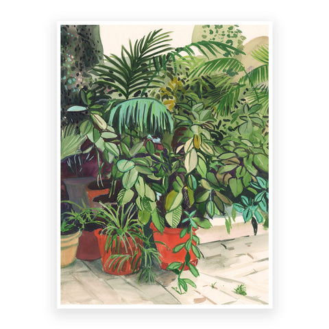 Ficus and the palmtrees on the patio- 30x40cm print