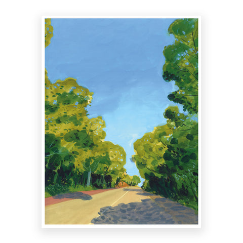Tall trees on the way to the coast- print 30x40cm