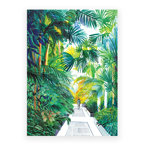 Marta Chojnacka print variety of exotic plants in the glasshous in Kew Garden London full of palm trees  on white background