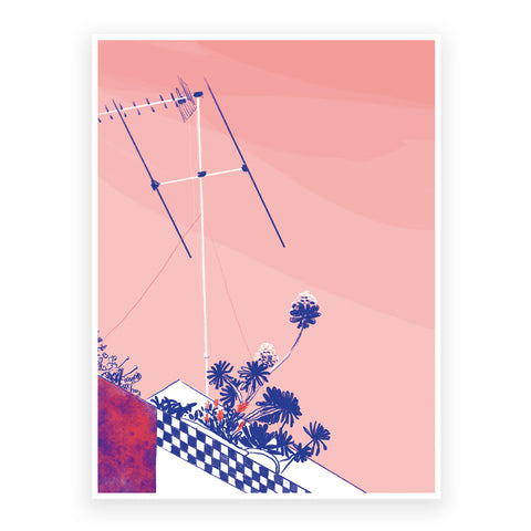Marta Chojnacka print roof with a garden and and pink sky in Barcelona 